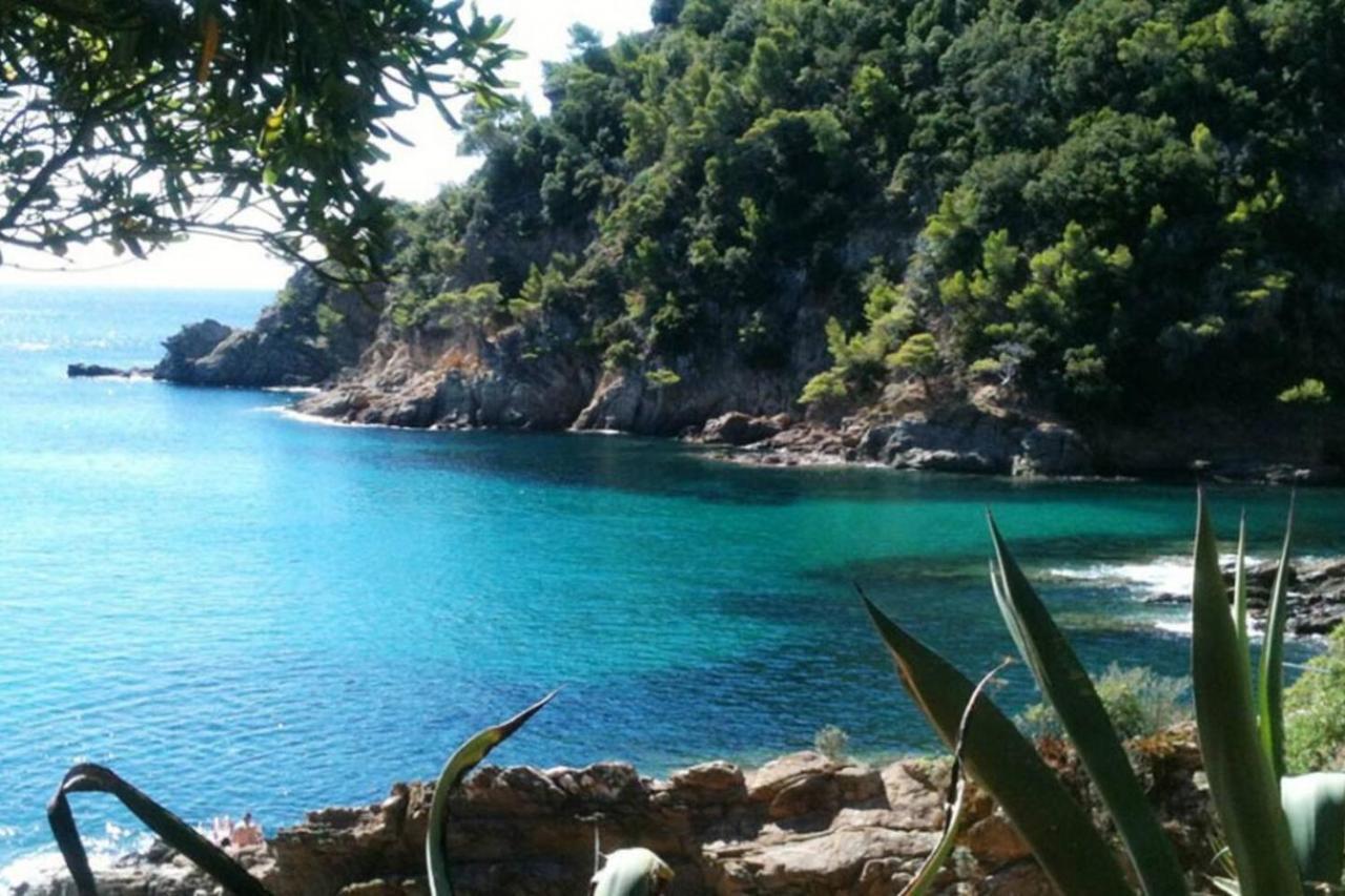 Appartamento Le Noisetier Cavalaire-sur-Mer Esterno foto