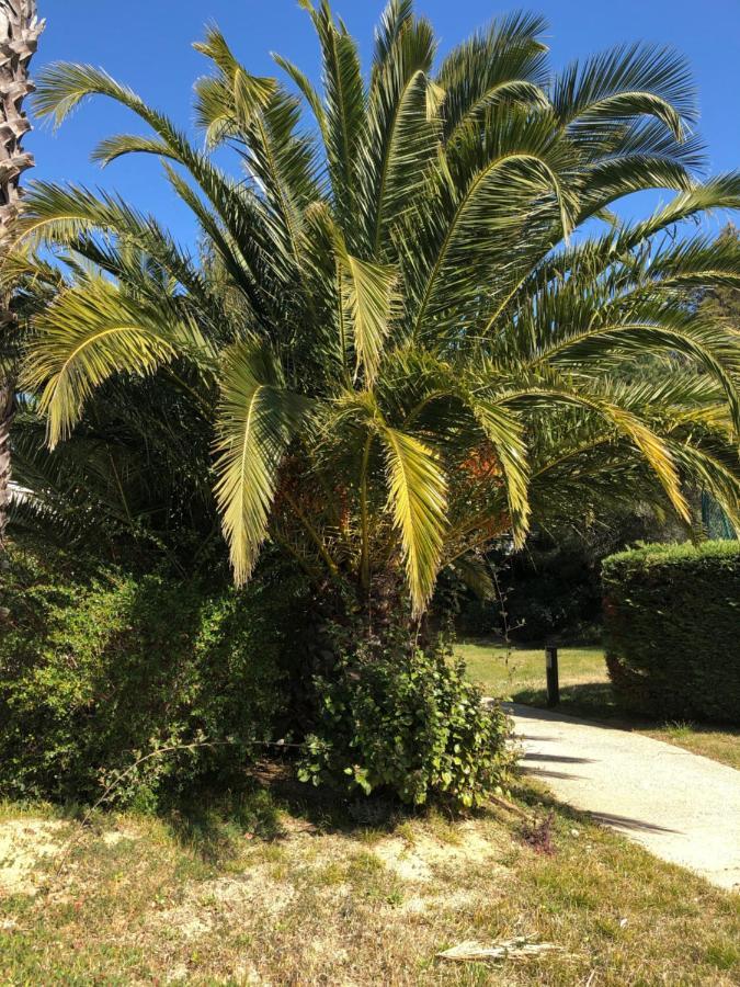 Appartamento Le Noisetier Cavalaire-sur-Mer Esterno foto